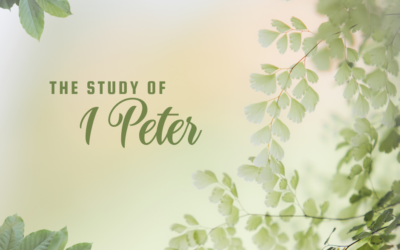 Bible Class 07/03/2022 – 1 Peter