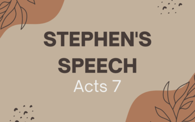 Stephen’s Speech