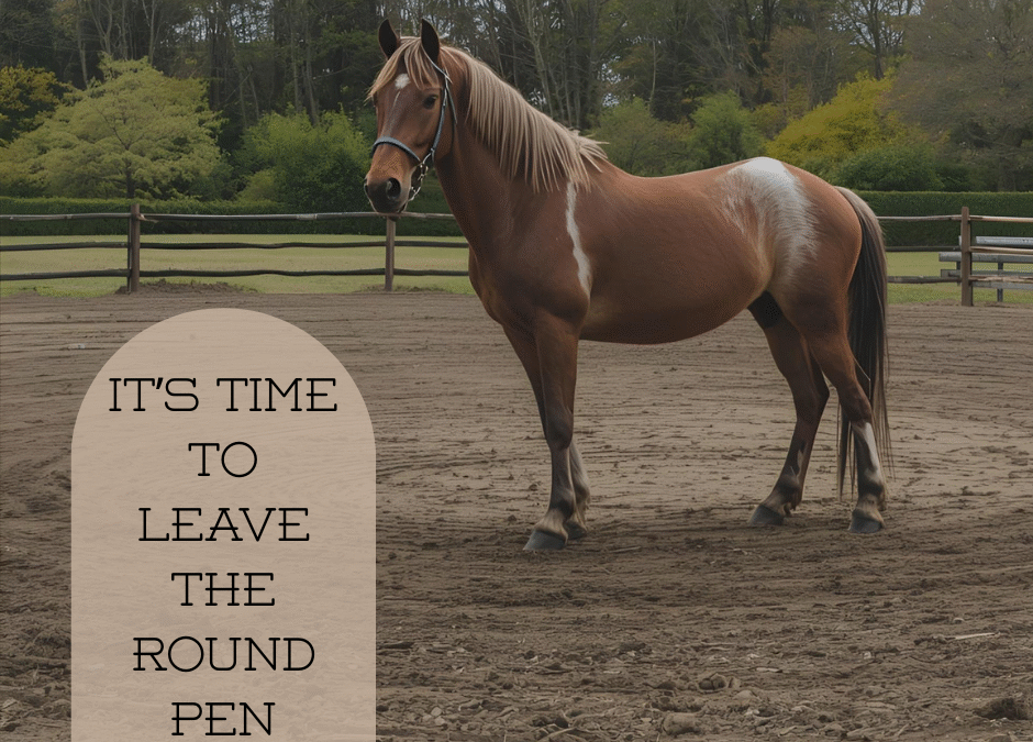 It’s Time to Leave the Round Pen