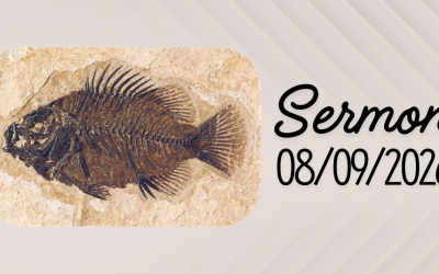 Sermon 08/09/2026
