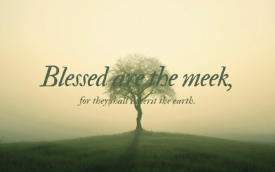 Meekness